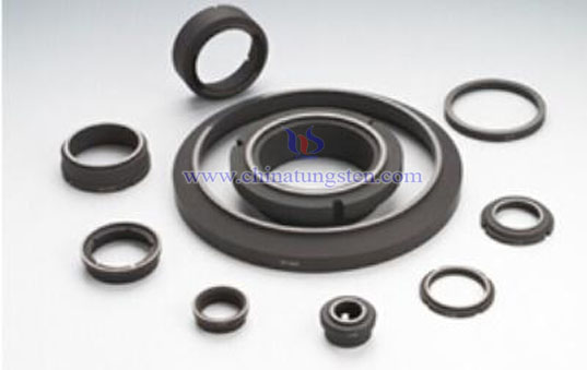 Silicon Carbide Seals Picture